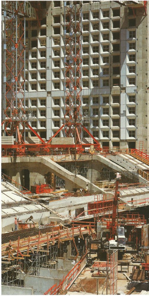 Scan 3.jpg