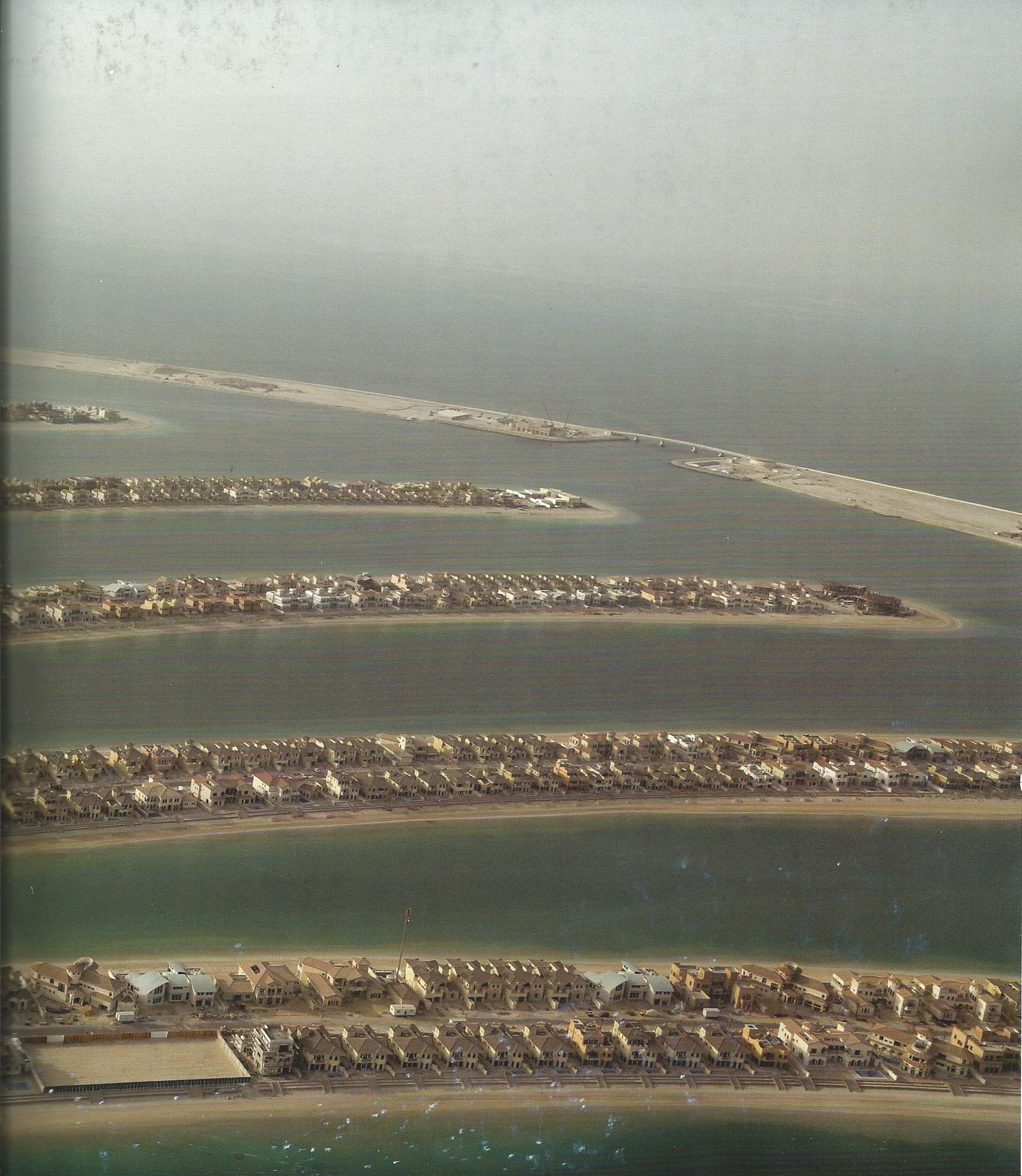 Scan 7.jpg