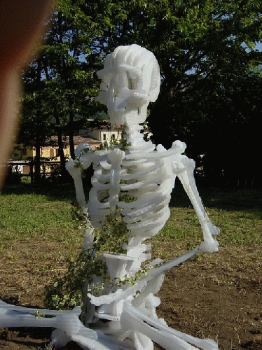 image 12.jpg