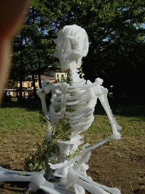 image 12.jpg image 12.jpg