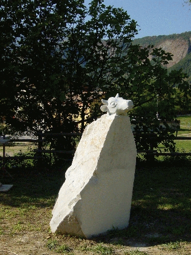 image 5.jpg