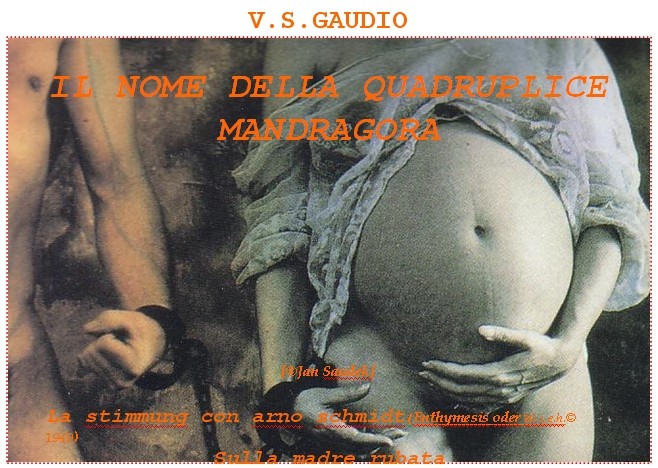 V.S. Gaudio
