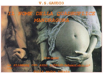V.S. Gaudio V.S. Gaudio